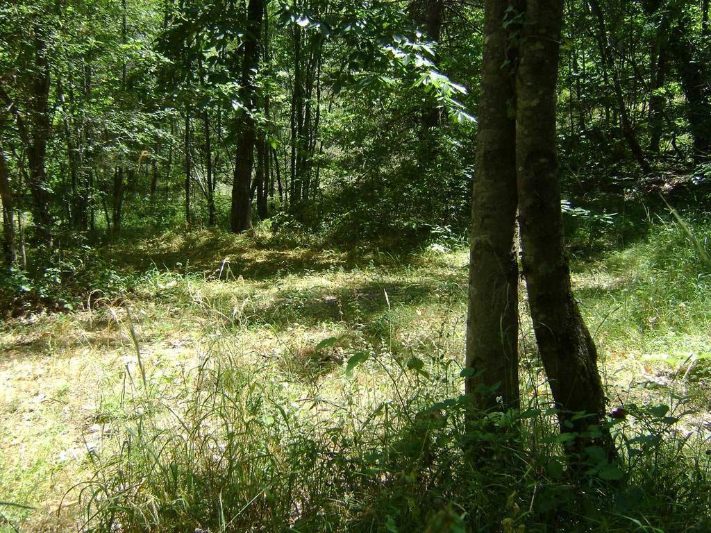 Camping Le P'Tit Bonheur Escaro ภายนอก รูปภาพ